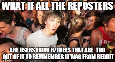 Sudden Clarity Clarence | WHAT IF ALL THE REPOSTERS ARE USERS FROM R/TREES THAT ARE 
TOO OUT OF IT TO REMMEMBER IT WAS FROM REDDIT | image tagged in memes,sudden clarity clarence,AdviceAnimals | made w/ Imgflip meme maker