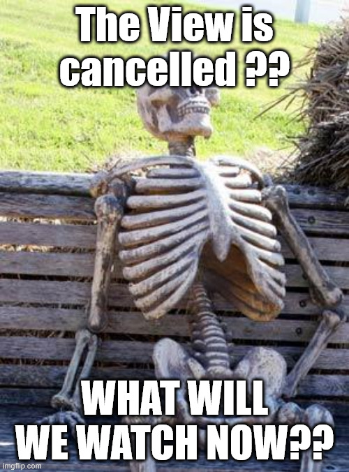 The View is cancelled | The View is cancelled ?? WHAT WILL WE WATCH NOW?? | image tagged in memes,waiting skeleton,the view,whoopi goldberg,joy behar | made w/ Imgflip meme maker