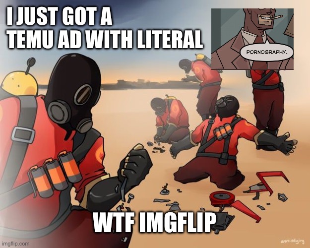 pyro despair | I JUST GOT A TEMU AD WITH LITERAL; WTF IMGFLIP | image tagged in pyro despair | made w/ Imgflip meme maker