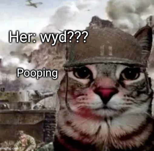 a great magician never reveals his tricks | Her: wyd??? Pooping | image tagged in poop,toilet,cat,funny,texts,funny texts | made w/ Imgflip meme maker