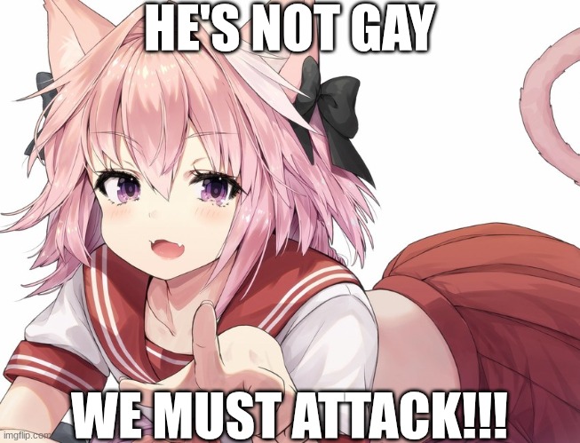 astolfo pointing | HE'S NOT GAY WE MUST ATTACK!!! | image tagged in astolfo pointing | made w/ Imgflip meme maker