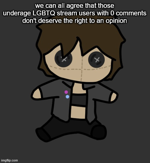 Neko plushy(Thx Disco) | we can all agree that those underage LGBTQ stream users with 0 comments don't deserve the right to an opinion | image tagged in neko plushy thx disco | made w/ Imgflip meme maker