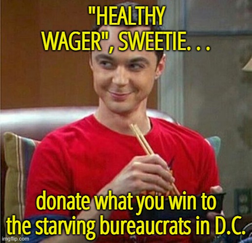 Sheldon Chinese Food | "HEALTHY WAGER", SWEETIE. . . donate what you win to the starving bureaucrats in D.C. | image tagged in sheldon chinese food | made w/ Imgflip meme maker