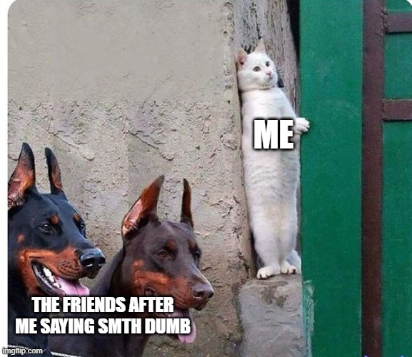 Hidden cat | ME THE FRIENDS AFTER ME SAYING SMTH DUMB | image tagged in hidden cat | made w/ Imgflip meme maker