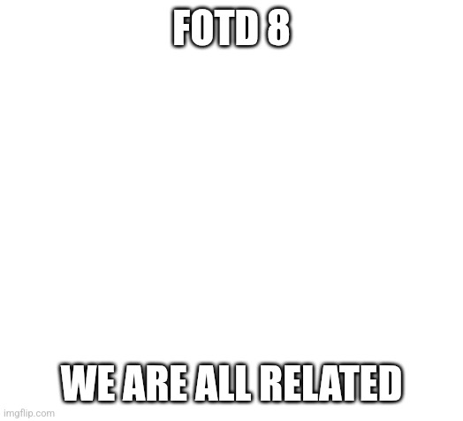 Blank | FOTD 8; WE ARE ALL RELATED | image tagged in blank | made w/ Imgflip meme maker