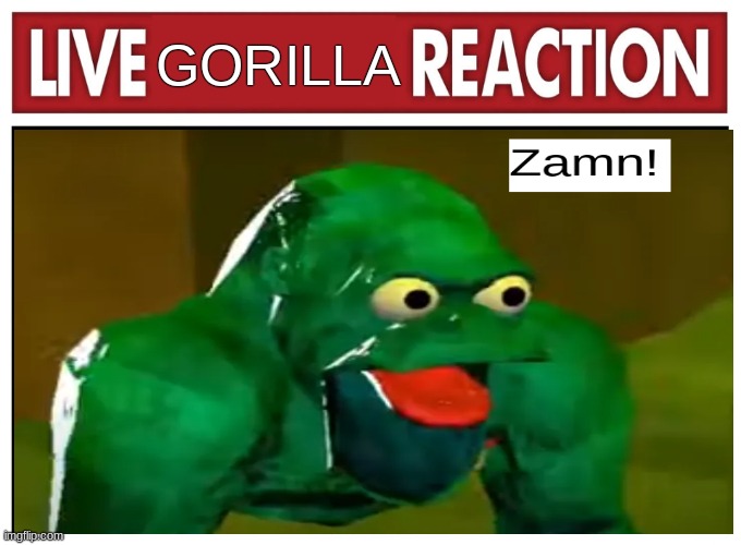 She's 12? | GORILLA | image tagged in live reaction,monkey | made w/ Imgflip meme maker