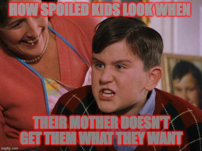 Harry Potter Dudley's Birthday | HOW SPOILED KIDS LOOK WHEN; THEIR MOTHER DOESN'T GET THEM WHAT THEY WANT | image tagged in harry potter dudley's birthday | made w/ Imgflip meme maker