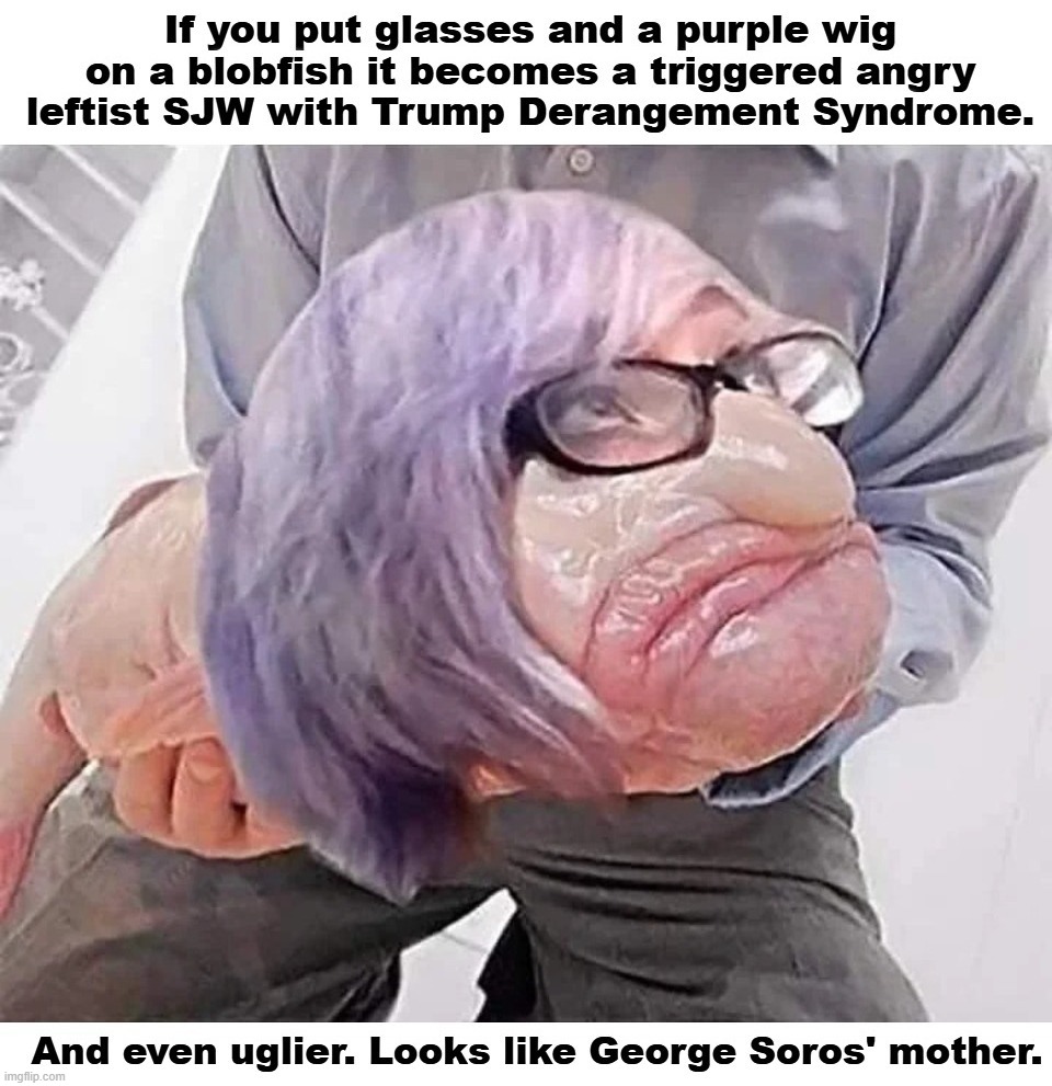 If you put glasses and a purple wig on a blobfish it looks like George Soros' mother. | image tagged in blobfish,george soros,yo mama,yo mamas so fat,sjw triggered,trump derangement syndrome | made w/ Imgflip meme maker