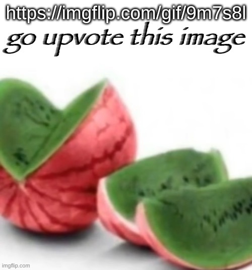Go upvote this image | https://imgflip.com/gif/9m7s8l | image tagged in go upvote this image | made w/ Imgflip meme maker