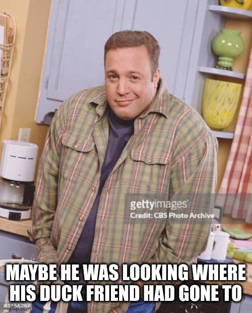 Kevin James | MAYBE HE WAS LOOKING WHERE HIS DUCK FRIEND HAD GONE TO | image tagged in kevin james | made w/ Imgflip meme maker