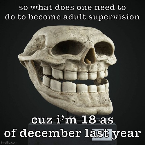 troll announcement temp | so what does one need to do to become adult supervision; cuz i’m 18 as of december last year | image tagged in troll announcement temp | made w/ Imgflip meme maker