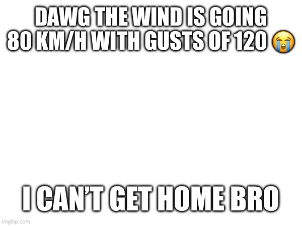 DAWG THE WIND IS GOING 80 KM/H WITH GUSTS OF 120 😭; I CAN’T GET HOME BRO | made w/ Imgflip meme maker