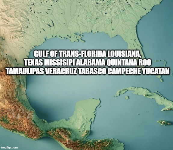 Agreeable? | GULF OF TRANS-FLORIDA LOUISIANA, TEXAS MISSISIPI ALABAMA QUINTANA ROO TAMAULIPAS VERACRUZ TABASCO CAMPECHE YUCATAN | image tagged in gulf of what,funny,gulf of america | made w/ Imgflip meme maker