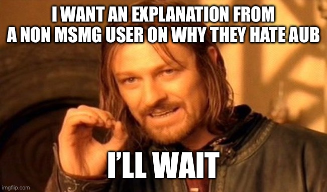 I’m still confused | I WANT AN EXPLANATION FROM A NON MSMG USER ON WHY THEY HATE AUB; I’LL WAIT | image tagged in memes,one does not simply | made w/ Imgflip meme maker