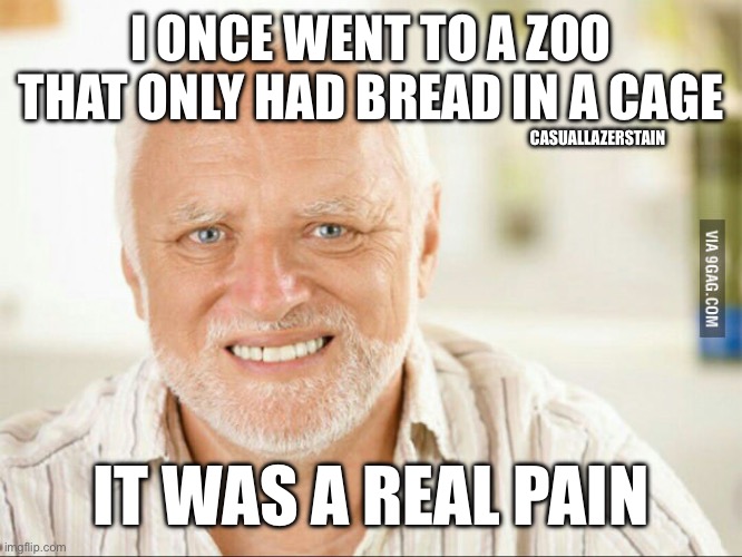 Get it ( ͡° ͜ʖ ͡°) | I ONCE WENT TO A ZOO THAT ONLY HAD BREAD IN A CAGE; CASUALLAZERSTAIN; IT WAS A REAL PAIN | image tagged in fake smile | made w/ Imgflip meme maker