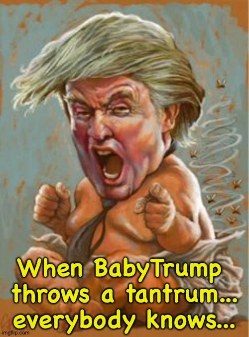 Trump Baby | When BabyTrump 
throws a tantrum...
everybody knows... | image tagged in trump baby | made w/ Imgflip meme maker