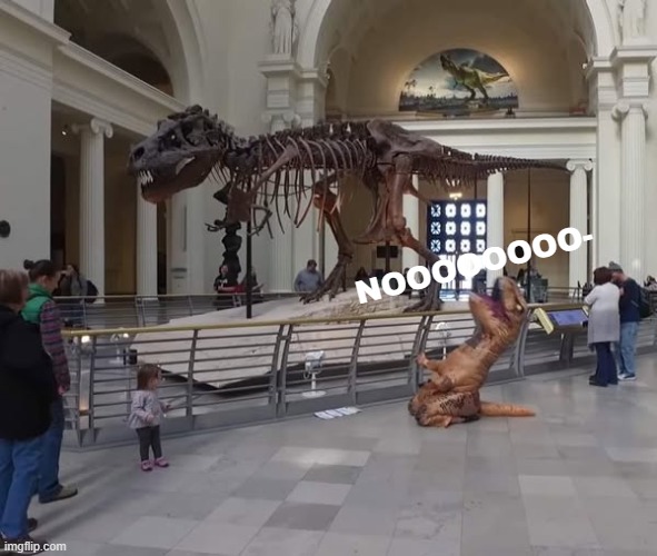 NOOOOOOOO- | made w/ Imgflip meme maker
