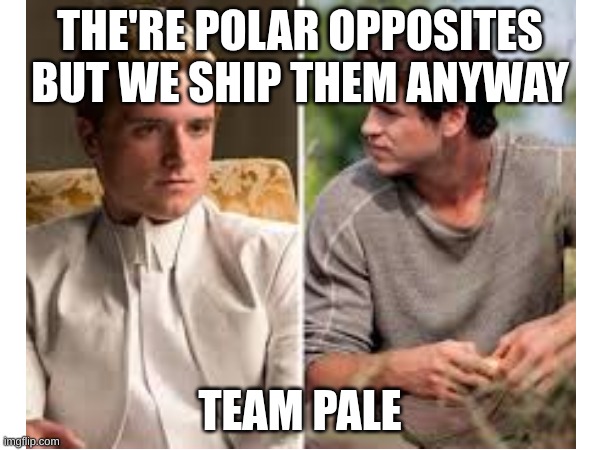 Team Pale forever!!! | THE'RE POLAR OPPOSITES BUT WE SHIP THEM ANYWAY; TEAM PALE | made w/ Imgflip meme maker