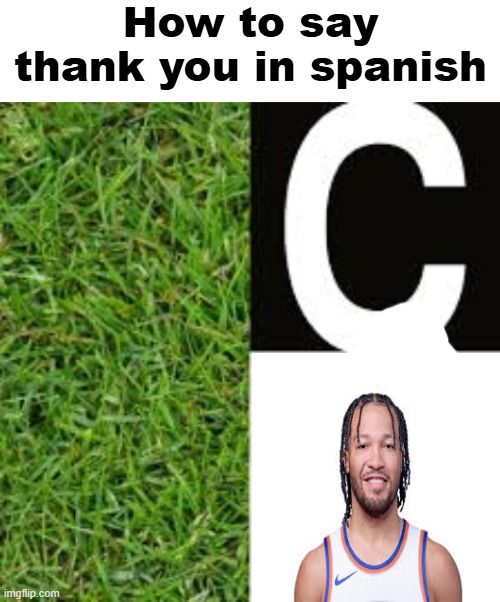 i hate the knicks with a passion (is basketball season so now basketball memes) | image tagged in how to say thank you in spanish | made w/ Imgflip meme maker