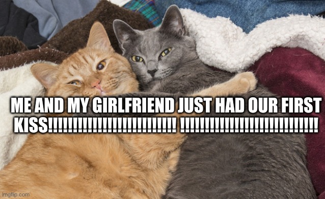 Two cats hugging | ME AND MY GIRLFRIEND JUST HAD OUR FIRST KISS!!!!!!!!!!!!!!!!!!!!!!!!!! !!!!!!!!!!!!!!!!!!!!!!!!!!!! | image tagged in two cats hugging,kiss | made w/ Imgflip meme maker