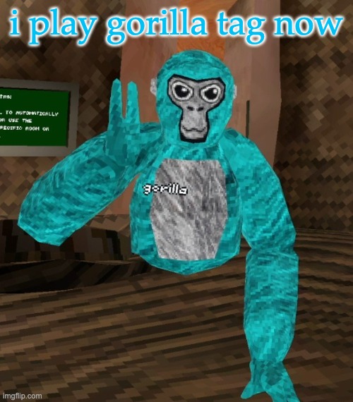 Monkey | i play gorilla tag now | image tagged in monkey | made w/ Imgflip meme maker