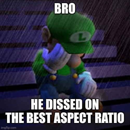 sad luigi | BRO HE DISSED ON THE BEST ASPECT RATIO | image tagged in sad luigi | made w/ Imgflip meme maker