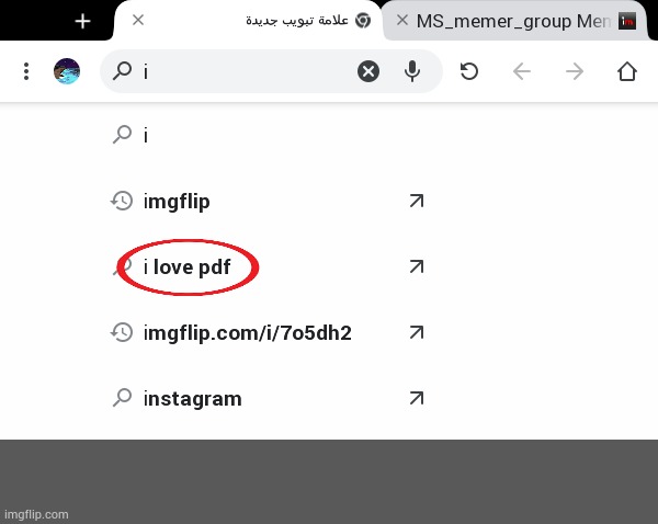 who invited bro lmao | image tagged in pdf | made w/ Imgflip meme maker