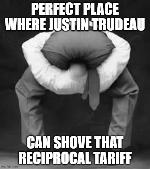 shine it up real nice!! | PERFECT PLACE WHERE JUSTIN TRUDEAU; CAN SHOVE THAT RECIPROCAL TARIFF | image tagged in head up your ass,tariffs,canada,trump,justin trudeau | made w/ Imgflip meme maker