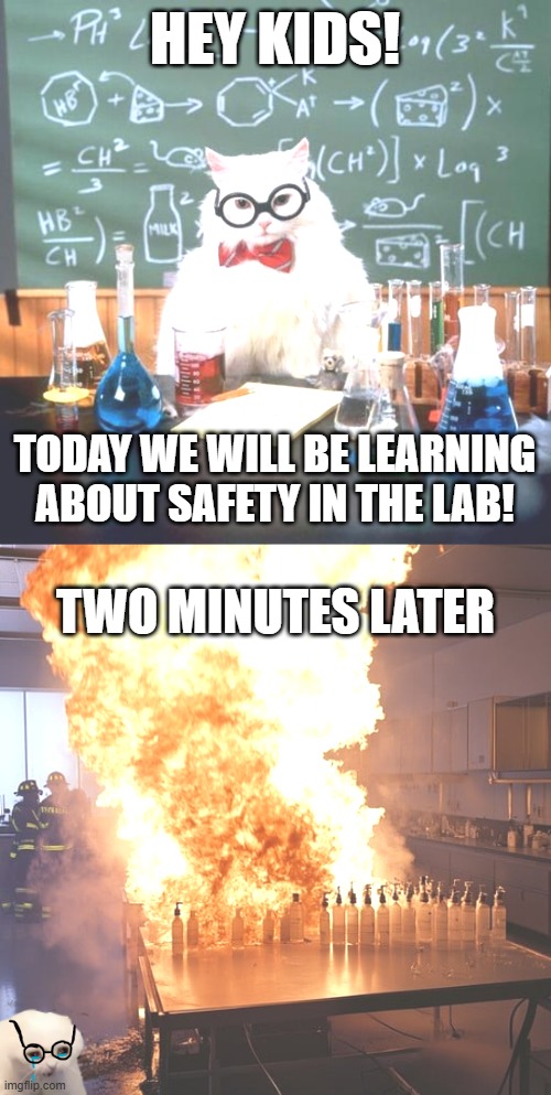 HEY KIDS! TODAY WE WILL BE LEARNING ABOUT SAFETY IN THE LAB! TWO MINUTES LATER | image tagged in memes,chemistry cat | made w/ Imgflip meme maker
