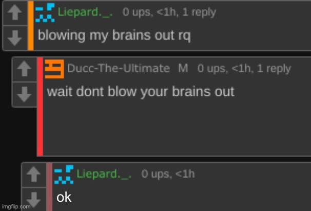 wait dont blow your brains out | ok | image tagged in wait dont blow your brains out | made w/ Imgflip meme maker