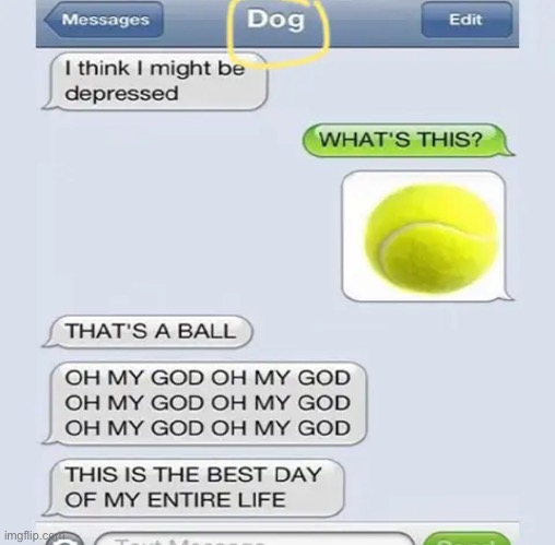 Dog | made w/ Imgflip meme maker