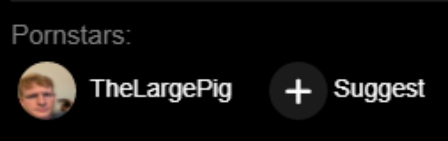 THELARGEPIG ON PHUB????? | image tagged in thelargepig on phub | made w/ Imgflip meme maker