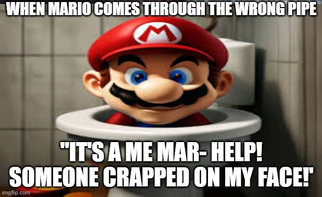 Oh OH Mario (And quit commenting on your own images ya schizo!) | WHEN MARIO COMES THROUGH THE WRONG PIPE; "IT'S A ME MAR- HELP! SOMEONE CRAPPED ON MY FACE!' | image tagged in mario wtf | made w/ Imgflip meme maker