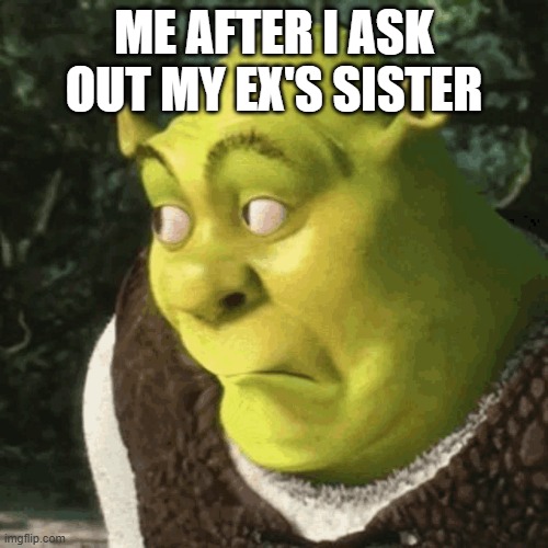 Shreck Oh OH | ME AFTER I ASK OUT MY EX'S SISTER | image tagged in shrek sexy face | made w/ Imgflip meme maker