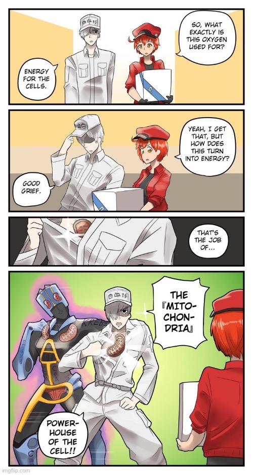 A surprise to be sure, but a welcome one | image tagged in jojo's bizarre adventure,cells at work | made w/ Imgflip meme maker