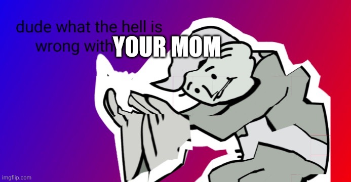 dude what the hell is wrong with you | YOUR MOM | image tagged in dude what the hell is wrong with you | made w/ Imgflip meme maker