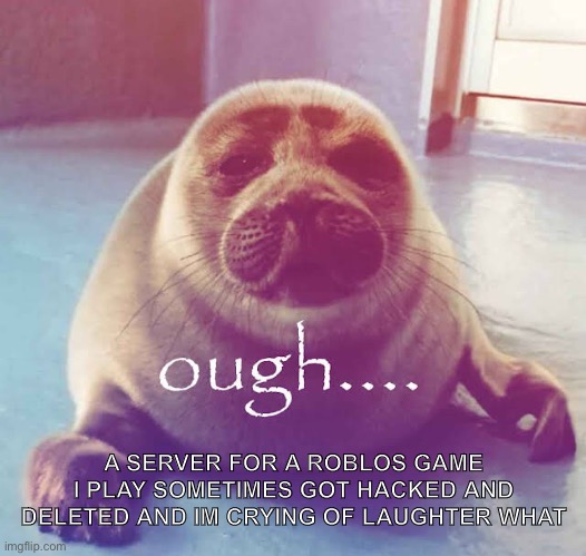 ough…. | A SERVER FOR A ROBLOS GAME I PLAY SOMETIMES GOT HACKED AND DELETED AND IM CRYING OF LAUGHTER WHAT | image tagged in ough | made w/ Imgflip meme maker