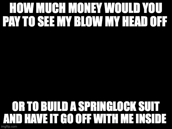 HOW MUCH MONEY WOULD YOU PAY TO SEE MY BLOW MY HEAD OFF; OR TO BUILD A SPRINGLOCK SUIT AND HAVE IT GO OFF WITH ME INSIDE | made w/ Imgflip meme maker