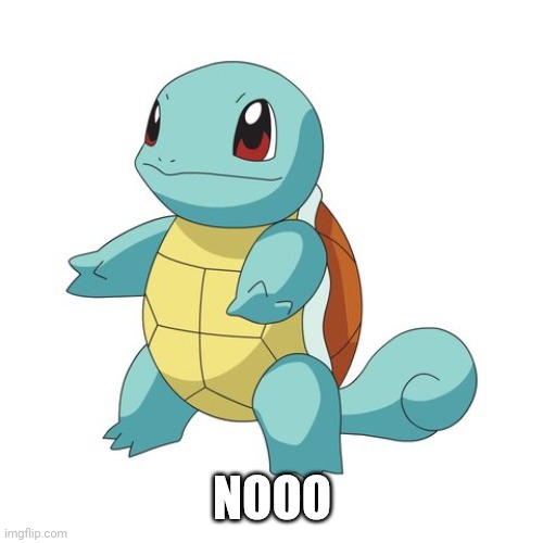 Squirtle | NOOO | image tagged in squirtle | made w/ Imgflip meme maker
