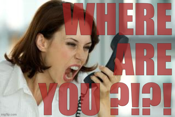 ▬♦▬comment specific to meme about forgetting mom at store   ♦Similar meme submitted♦ | WHERE
ARE
YOU ?!?! | image tagged in angry woman,where are you,comment | made w/ Imgflip meme maker