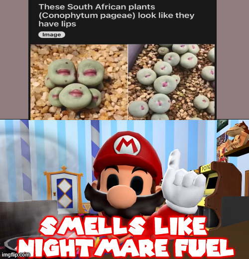 Mario smells the nightmare fuel | image tagged in mario smells the nightmare fuel | made w/ Imgflip meme maker