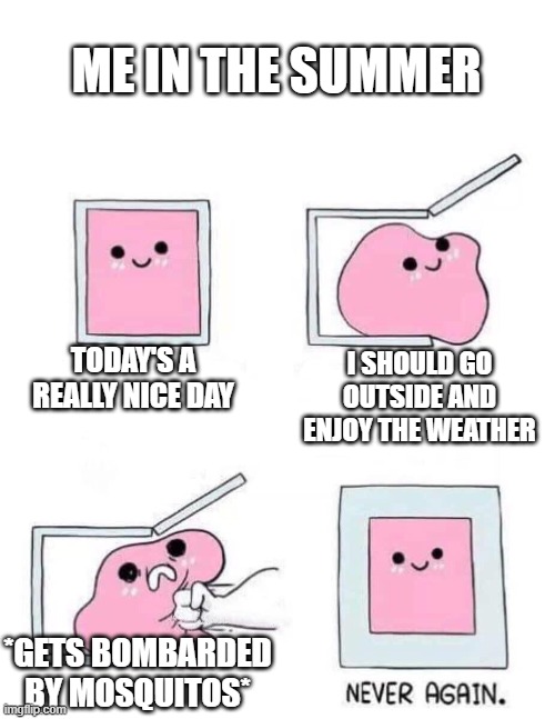 Never again | ME IN THE SUMMER; TODAY'S A REALLY NICE DAY; I SHOULD GO OUTSIDE AND ENJOY THE WEATHER; *GETS BOMBARDED BY MOSQUITOS* | image tagged in never again | made w/ Imgflip meme maker