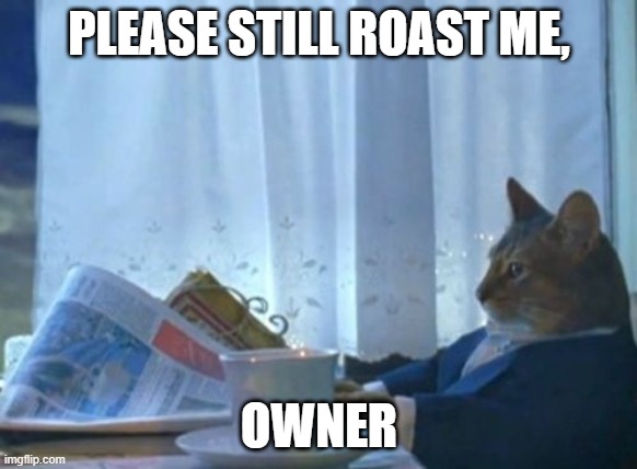 I Should Buy A Boat Cat | PLEASE STILL ROAST ME, OWNER | image tagged in memes,i should buy a boat cat | made w/ Imgflip meme maker