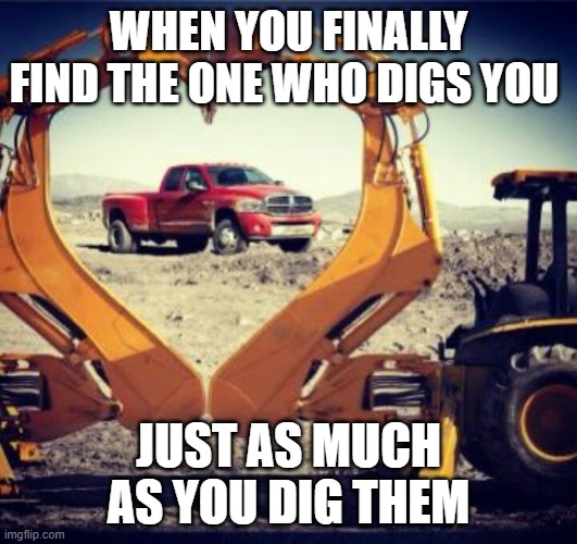 true love | WHEN YOU FINALLY FIND THE ONE WHO DIGS YOU; JUST AS MUCH AS YOU DIG THEM | image tagged in memes | made w/ Imgflip meme maker