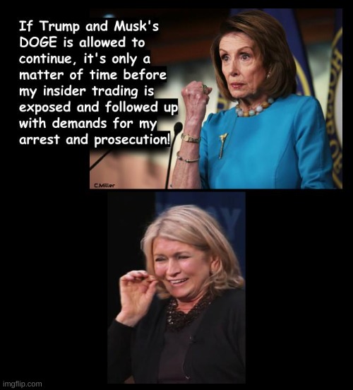 Notice how Democrats all squeal like stuck pigs when the shoe's on the other foot and they find themselves on the receiving end? | image tagged in nancy pelosi,martha stewart,insider trading,politics | made w/ Imgflip meme maker