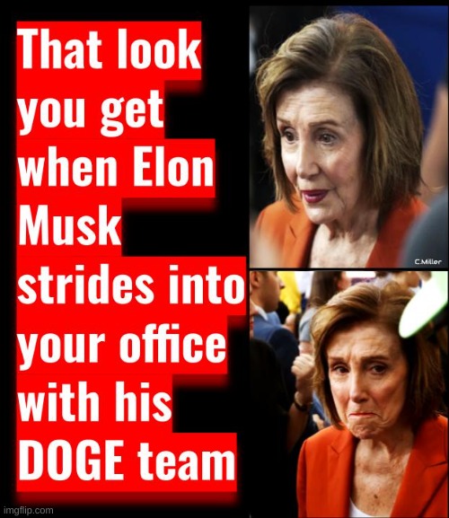 I can hear the dull thud of the bricks she's shitting hitting the floor now. | image tagged in nancy pelosi,elon musk,doge,politics,government corruption | made w/ Imgflip meme maker