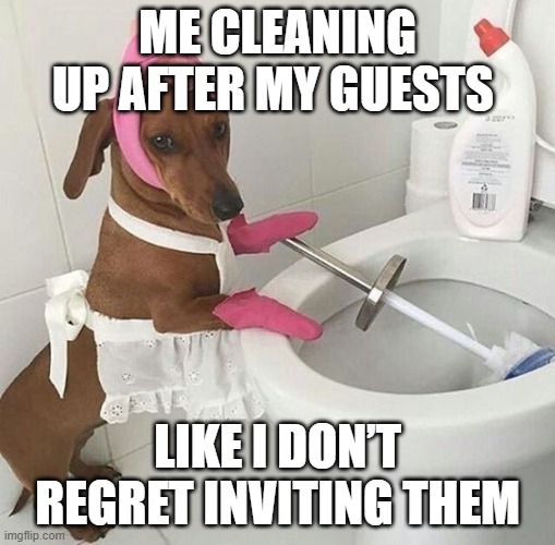 guests | ME CLEANING UP AFTER MY GUESTS; LIKE I DON’T REGRET INVITING THEM | image tagged in memes | made w/ Imgflip meme maker