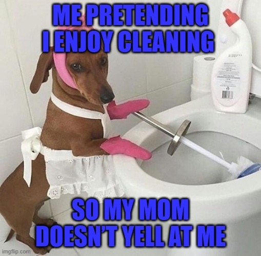 cleaning | ME PRETENDING I ENJOY CLEANING; SO MY MOM DOESN’T YELL AT ME | image tagged in memes | made w/ Imgflip meme maker