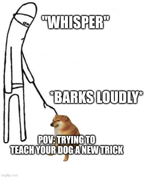 c'mon do something | "WHISPER"; *BARKS LOUDLY*; POV: TRYING TO
TEACH YOUR DOG A NEW TRICK | image tagged in c'mon do something | made w/ Imgflip meme maker