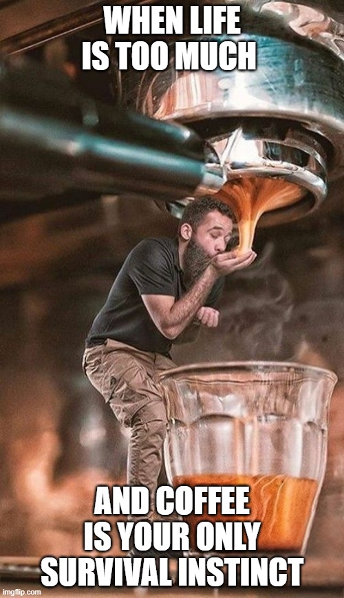 coffee | WHEN LIFE IS TOO MUCH; AND COFFEE IS YOUR ONLY SURVIVAL INSTINCT | image tagged in memes | made w/ Imgflip meme maker